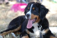 /album/fotogalerie/dsc-0143-jpg/